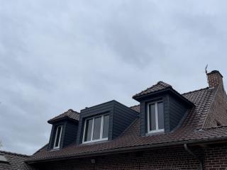 création de chiens assis